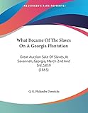 What Became Of The Slaves On A Georgia Plantation: Great Auction Sale Of Slaves, At Savannah, Georgia, March 2nd And 3rd, 1859 (1863)