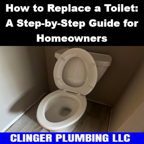 How to Replace a Toilet cover art