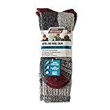 Dickies 2- Pair Mens Steel Toe Thermal Crew Socks 6-12 Brown