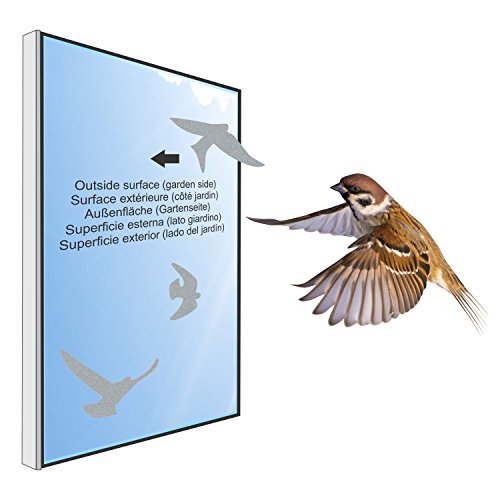 Anti-Collision Stickers To Prevent Bird Strikes On Window Glass - Set Of 17 Silhouettes - Color: Silver - Window Decals #TOP4