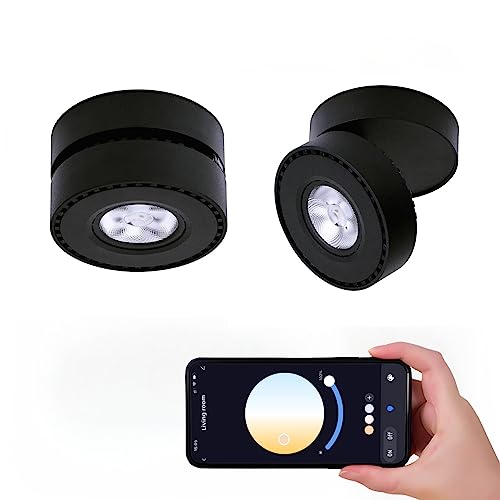 Image of LED Ceiling Spotlight Indoor Dimmable - Tuya Smart Life 360 Adjustable 12W COB Ceiling Downlight Aluminum Hard Wired For Bedrooms Rooms Corridors Painting Background Walls (Black, C (2.36 inch*3.93 inch))