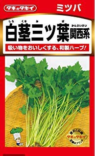 20-Gram BigPak: 20-Gram to 200-gram Worth of MITSUBAãƒŸãƒ„ãƒ ä¸‰ã¤è‘‰ Japanese Parsley (YNKS2) Seeds aka Water Dropwort
