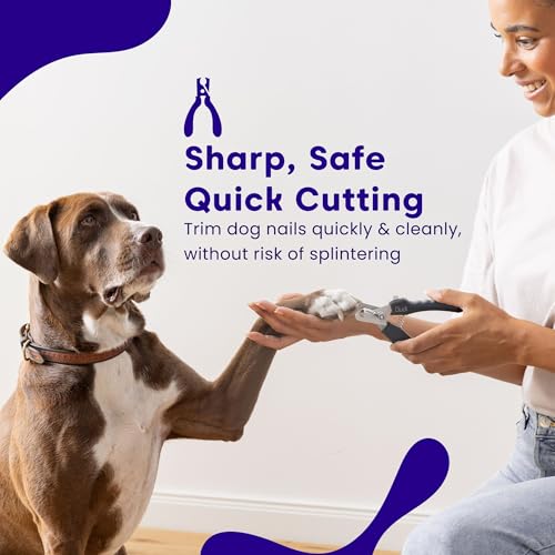 Dudi-Pet-Dog-Nail-Clippers-for-Large-Dogs-Thick-Nails-Heavy-Duty-Dog-Nail-Trimmers-with-Razor-Sharp-Blade-and-Easy-to-Use-Dog-Nail-File-with-Safety-Guard-to-Avoid-Overcutting-Professional-Quality