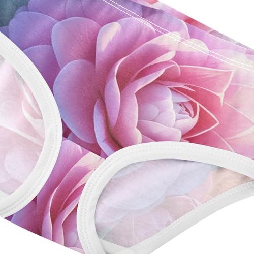 Funny Girls Underwear Toddler 2t Cotton Little Girl Panties Dreamy Pink Floral Briefs Undies Kids4