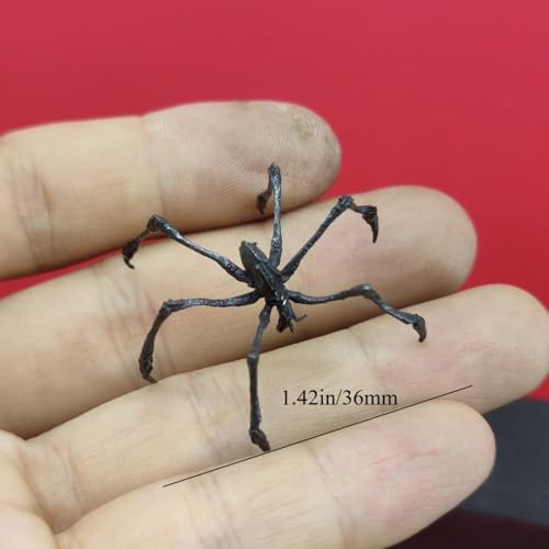 Accessoires de décoration araignée en laiton pour orner la maison - 3