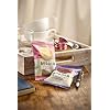 Border Biscuits 48 Luxury Mini Packs