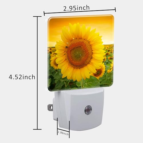 Image of Plug in Night Lights Sunset Sunflower Field Nightlight Plug Into Wall Dusk to Dawn Sensor LED Night Light for Kid Girls Boys Women Men Room Decor, Hallway, Kitchen, Bathroom, Nursery, Stairs