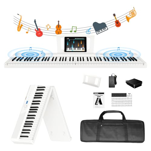 Teclados Piano Segunda Mano 88 Teclas Marca TERENCE