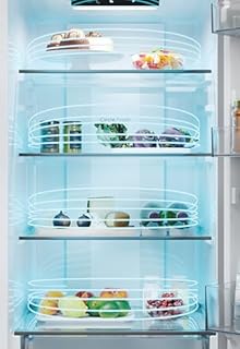 Candy City Fresco 300 CNCQ2T518EB, Frigorifero Combi, 280L, Larghezza 55cm, Altezza 182cm, Totale No Frost Circle+, Cassetto Verdura, Controllo interno digitale, Illuminazione a LED, Porta