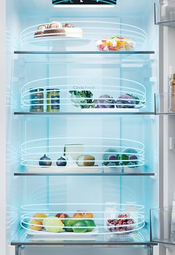 Réfrigérateur 2 portes CANDY CNQ2T518EB - vue 5