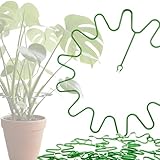 ARPON Staudenhalter rund 10 Stück – Einstellbare Blumenstütze & Pflanzenstütze Ø 21,5 cm – Ideal als Hortensien Stütze, Strauchstütze, Staudenstütze & robuster Blumenhalter im Garten