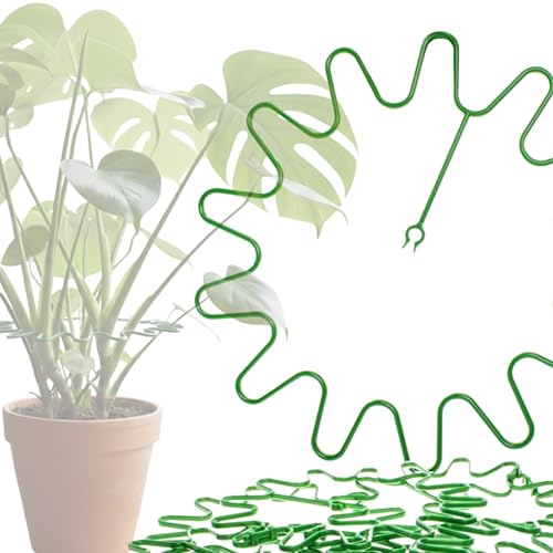 ARPON Staudenhalter rund 10 Stück – Einstellbare Blumenstütze...