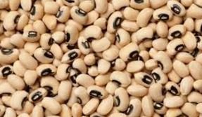 Black Eyed Peas -22Lbs