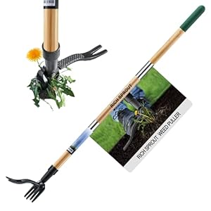 Stand Up Weed Puller Tool, Heavy Duty Weed Remover Tool with Long Handle, 3-Section Real Bamboo Construction – 4 Claw Steel Head Weeder Tool, Eco-Friendly Handle, No More Bendin