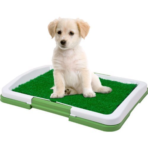 Zizzi Shopmonk Pet Puppy Toilet Trainer Absorbent Mat Potty Patch Pads Indoor House Litter Tray