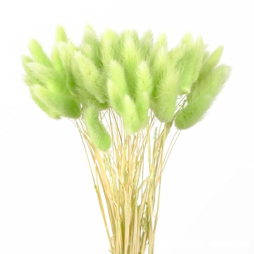 Pampas Grass Decor Tall 50 piezas color verde claro