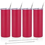 Qtencas Stainless Steel Skinny Tumbler Set, Insulated Skinny Tumbler with Lid and Straw, 20 Oz Slim