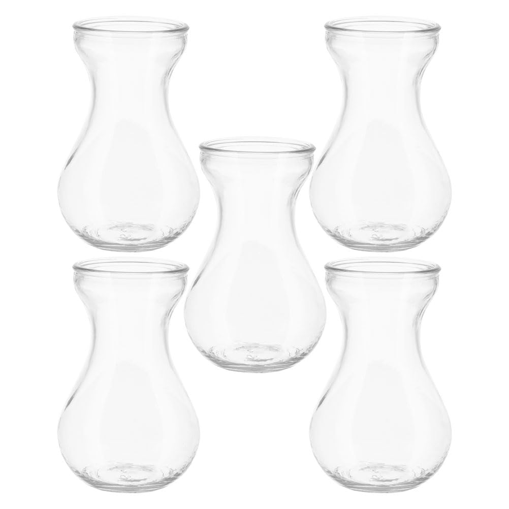 Vases en verre transparent Healvian pour reussir vos cultures sur eau