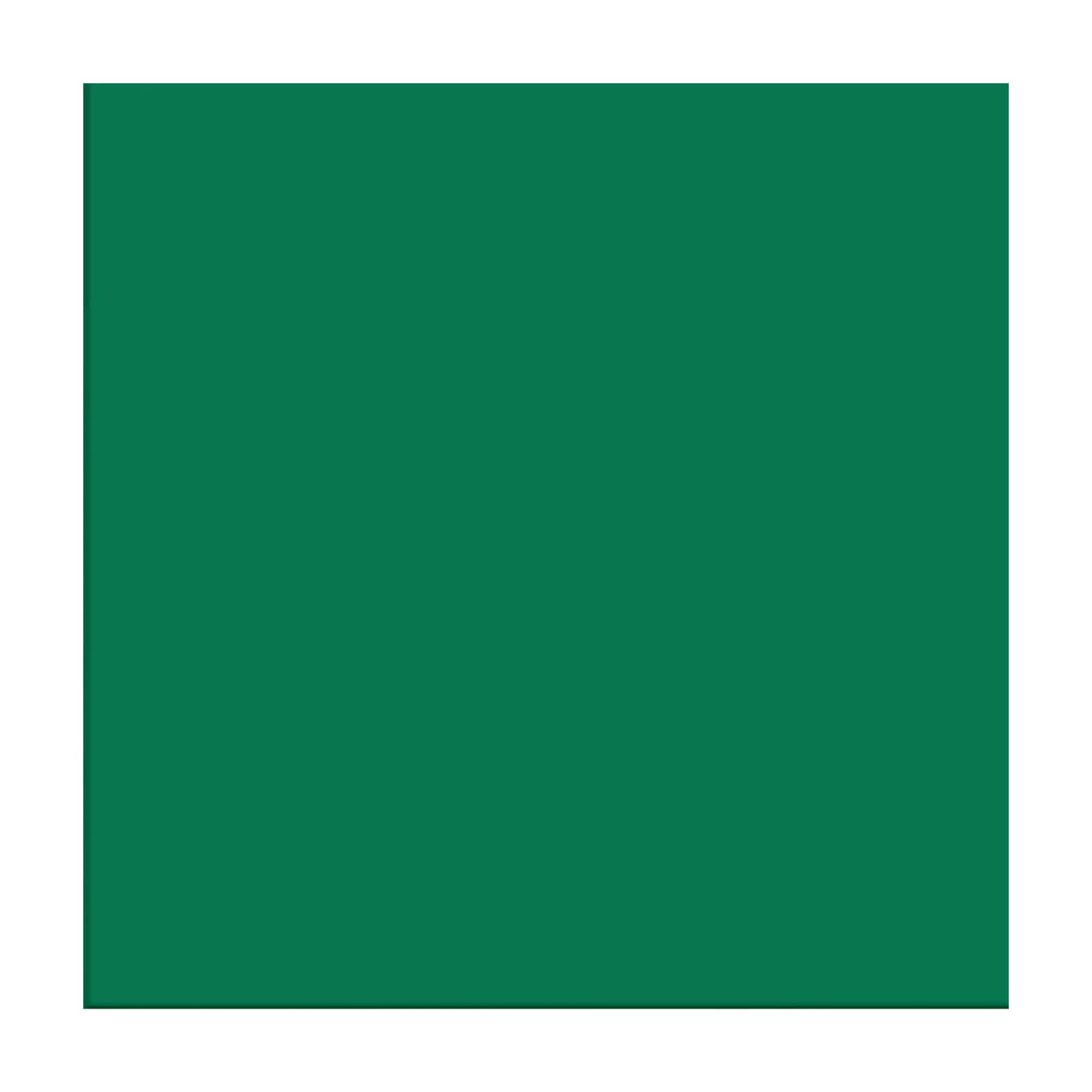 Vinyle transfert thermique Siser EasyWeed vert mat rouleau extensible pour textile 38cm x 9m
