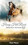 Honey Hill Ranch 01: Silbersterns Schicksal