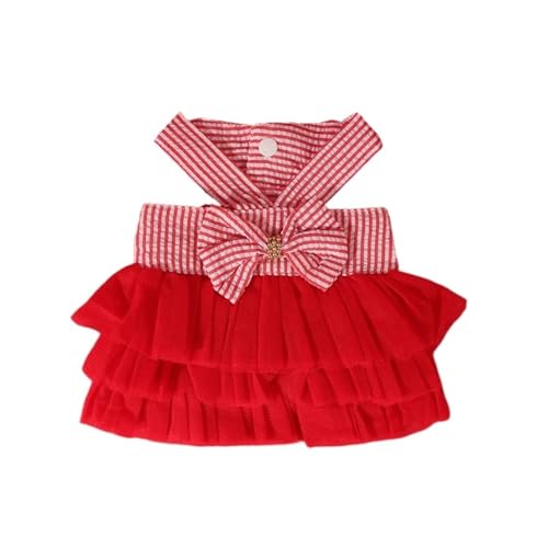 Bichon et petit chat tenue de printemps délicate en dentelle - 2
