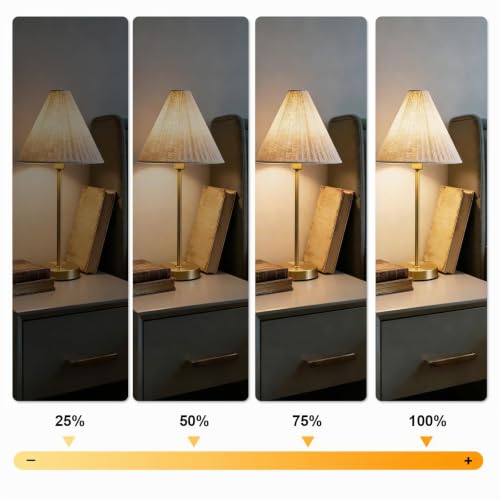 GMY 12er Stück G4 Halogenglühbirne 20W 12V 2 Pin Halogen Leuchtmittel, G4 Halogenlampen stiftsockellampe Dimmbar 2800K Warmweiß für… – Ansicht 4