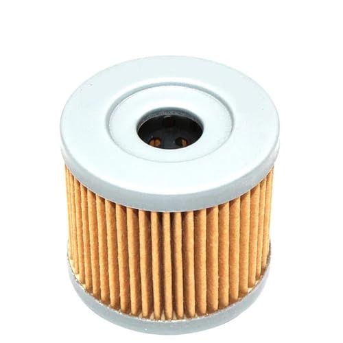 Filtre à huile moto pour Hyosung GT250 GT250R et GV250 GV125