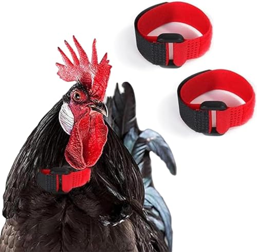 Image of 2Pcs Black and Red Crow Rooster Collar, Crow Rooster Collar, Neck Belt for Roosters Cockerel Velcro Nylon Prevent Chickens from Screaming Basic Collars