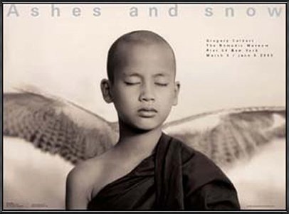 Amazon.co.jp: ポスター グレゴリー コルベール Ashes and snow 