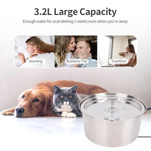 Fuente de agua para gato 3.2L acero inoxidable automática miniatura 3