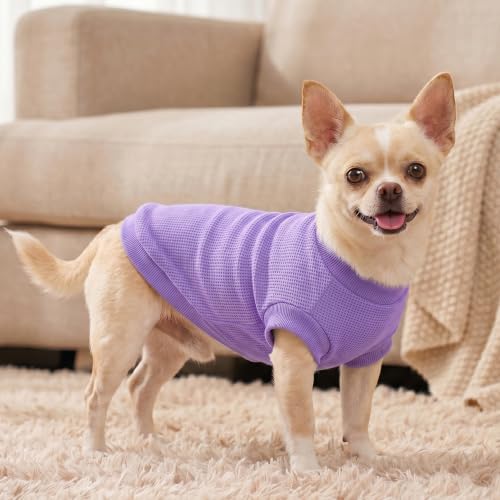 Image of 1 Pack Dog Shirt for Small Supplies Functional Waffle Dog Clothes Warm Soft Sweatshirt Outfit for Dogs Cats Pet Apparel