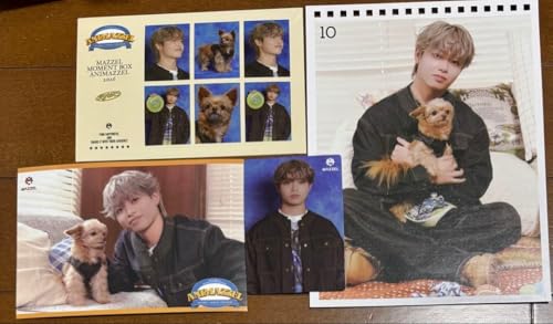 MAZZEL RYUK I�Z�b�g ANIMAZZEL