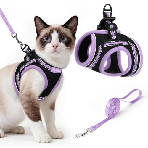 Image of rabbitgoo Cat Harness and Leash Set, Step-in Soft Vest, Black-Light Purple | Escape Proof, Lightweight, Easy-on & Adjustable, Hook & Loop with Buckle, Reflective, for Small Cats Walks, L
