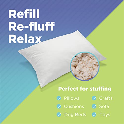 Bean Products 20 Lb - All Natural Shredded Latex Foam - New Recycled Fill For Bean Bags - Pet Beds - Pillows - Made In The Usa, Chicago #TOP4