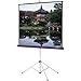 Carpeted Picture King Matte White Portable Projection Screen Viewing Area: 84" H x 84" W
