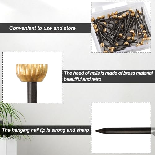 Image of SPEEDWOX 60 Pcs Picture Hangers Black Steel Nails and Brass Head Frame, Picture Hanging Nails for Hanging Picture Painting with Plastic Storage Box Holds Up to 5-30 lbs(Small)