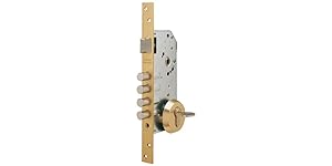 Tesa Assa Abloy Cerradura de seguridad monopunto R200B de 4 bulones de cierre y picaporte, sin cilindro, entrada de 50mm, escudo E700L, acabado hierro latonado