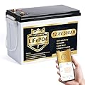 PUPVWMHB 12V 300Ah MINI LiFePO4 Lithium Battery, Bluetooth Lithium Battery, 200A BMS, up to 15000 Cycles, Max.3840Wh Energy with Low Temp Cut off, Perfect for RV, Solar, Trolling Motor