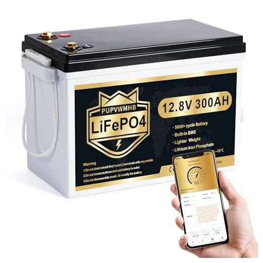 PUPVWMHB 12V 300Ah LiFePO4 Lithium Battery, Bluetooth LifePO4 Battery, Upgraded 200A BMS, 3840Wh Rechargeable Lithium Battery with Low Temp Cut off, Perfect for RV Solar Marine Solar Panel Camping