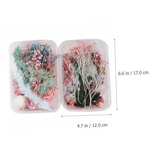 Alipis 4 Caixas Flores secas de aromaterapia pétalas de flores secas decoração de flores decoração e