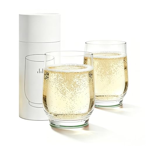 Levore 15 oz Tritan Stemless Wine Glasses, Set of 2 #TOP22