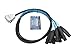 Elite Core DB25XF5 25-Pin D-Sub to 8 XLR Female Breakout Snake, 5-Feet