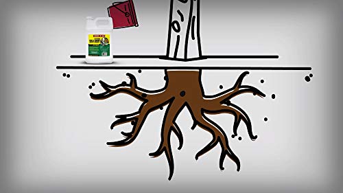 Compare-N-Save Systemic Tree and Shrub Insect Drench - 75333, 1 Gallon - Thumbnail 5