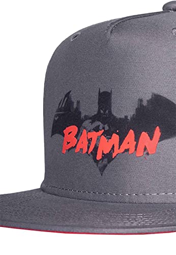 Gorra Batman DC Comics infantil gris con visera plana ajustable snapback 4