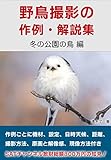野鳥撮影の作例・解説集　『冬の公園の鳥　編』