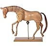 Dessin Anatomique Modèle Cheval (1) - Bois