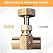 Breezliy 2 Pieces Heavy Duty Brass Instrument Replacement Control Needle Valve 1/4