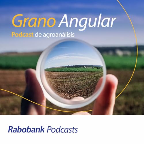 Grano Angular: Podcast de agroanálisis Podcast By Rabobank cover art