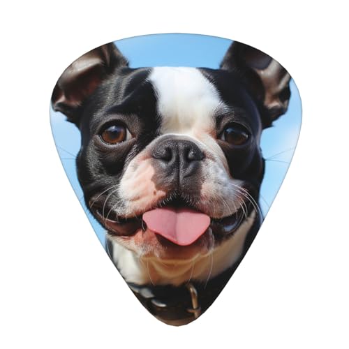 Médiators de guitare 3 épaisseurs avec boîte accessoires guitare acoustique Boston Terrier