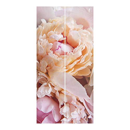 Bilderwelten Cortinas deslizables - Peony - 2 Paneles japoneses Montaje de Pared 250x120cm